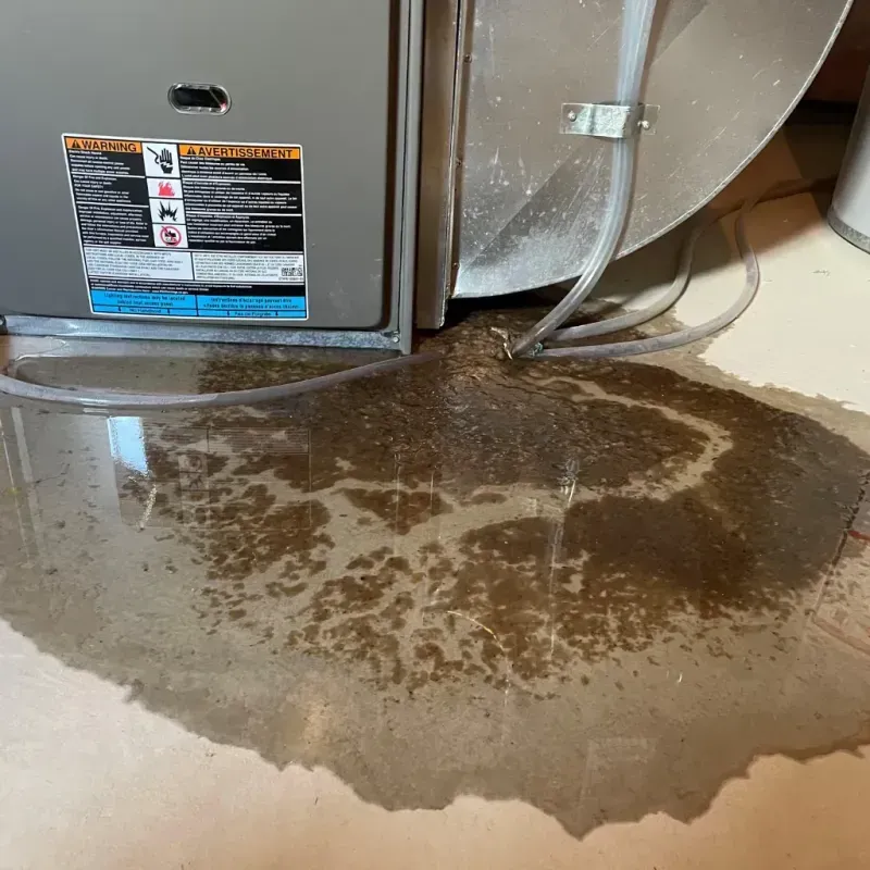 Appliance Leak Cleanup in East Hazel Crest, IL